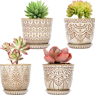 Ceramic Planter Set